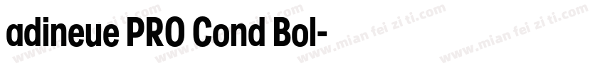 adineue PRO Cond Bol字体转换